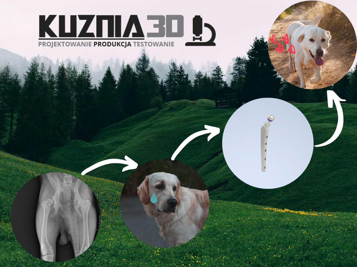 Projekt: Kuźnia 3D