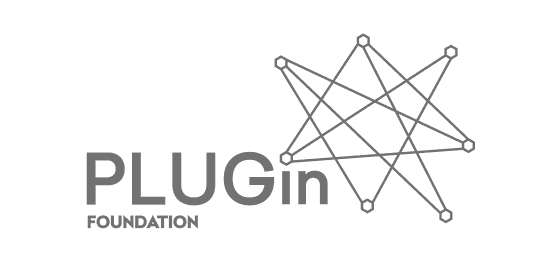 Plugin Foundation icon